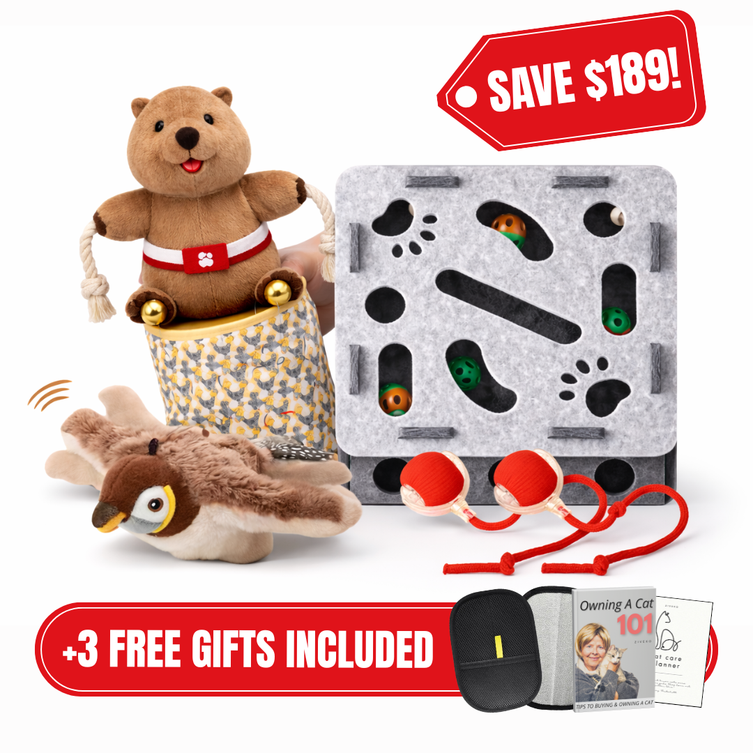 Feline Playtime Mega Bundle