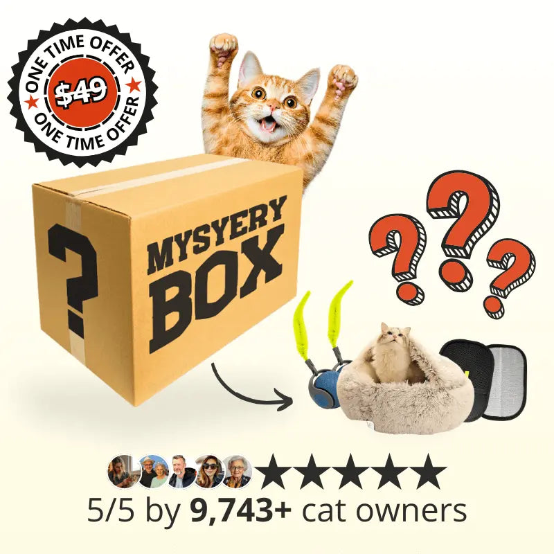 Mystery Cat Box (One Time Offer)