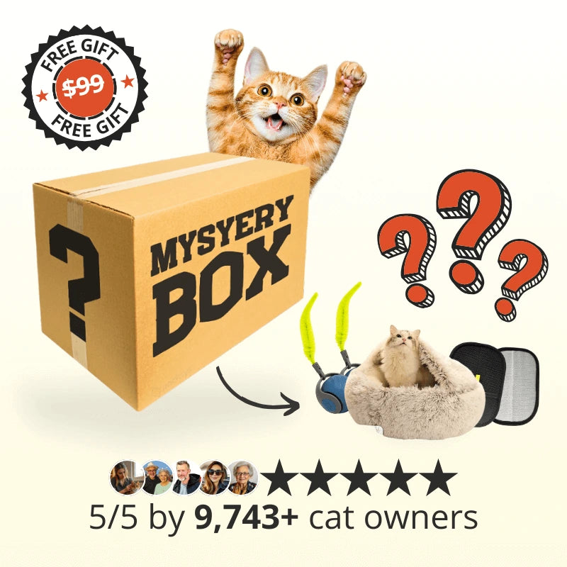 Mystery Cat Box (FREE)