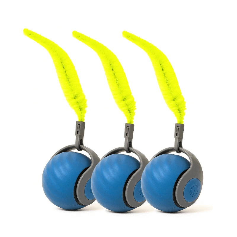 ZipBuddy™ (FREE Today)