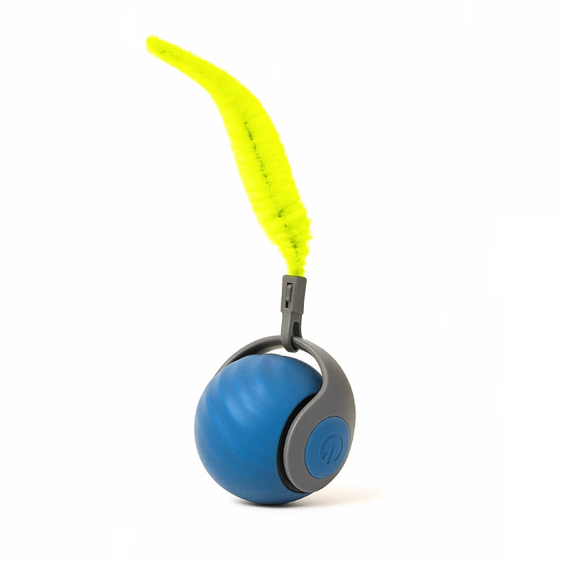 ZipBuddy™ (FREE Today)