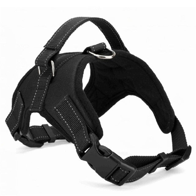 SpecialForce™ - Dog Safe Hanger