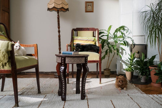 Three cats resting in different spots of the same living room, each with its own space