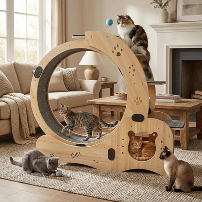 41in Cat Exercise Wheel: 6‑in‑1 Indoor Activity Center