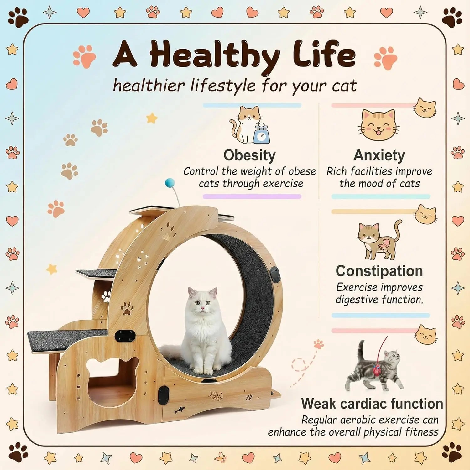 41in Cat Exercise Wheel: 6‑in‑1 Indoor Activity Center benefits
