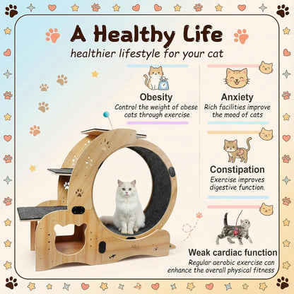 41in Cat Exercise Wheel: 6‑in‑1 Indoor Activity Center benefits