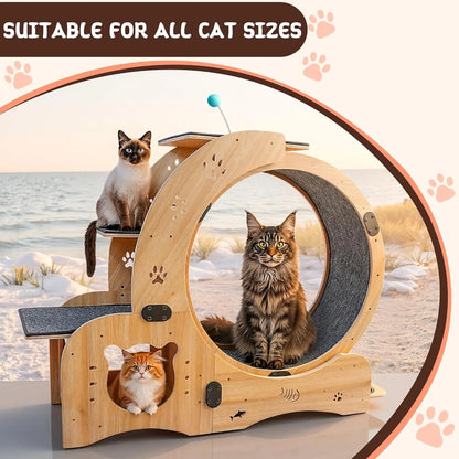 41in Cat Exercise Wheel: 6‑in‑1 Indoor Activity Center large cats