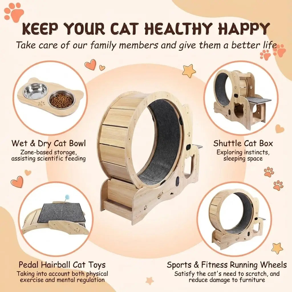 41in Cat Exercise Wheel: 6‑in‑1 Indoor Activity Center - features