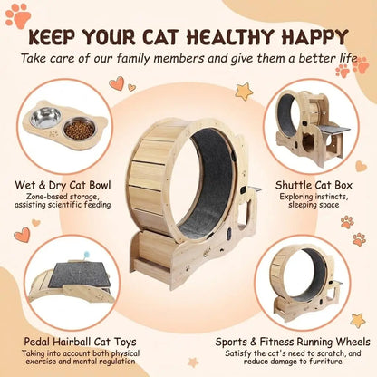 41in Cat Exercise Wheel: 6‑in‑1 Indoor Activity Center - features