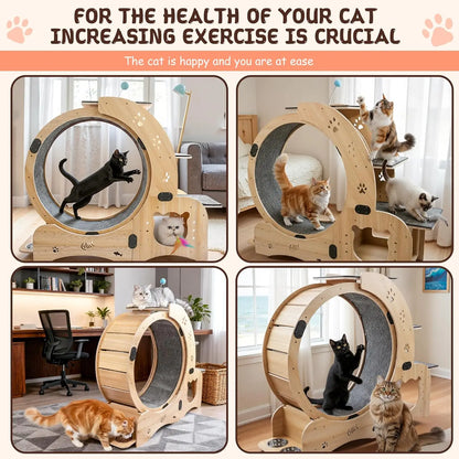 41in Cat Exercise Wheel: 6‑in‑1 Indoor Activity Center
