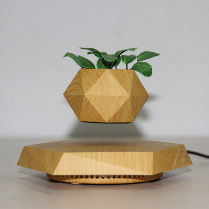 Flying Nature by Kendo (Limited Edition)
