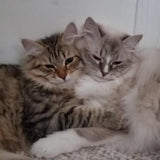 <em><strong>Karen M. - Portland, OR</strong></em>