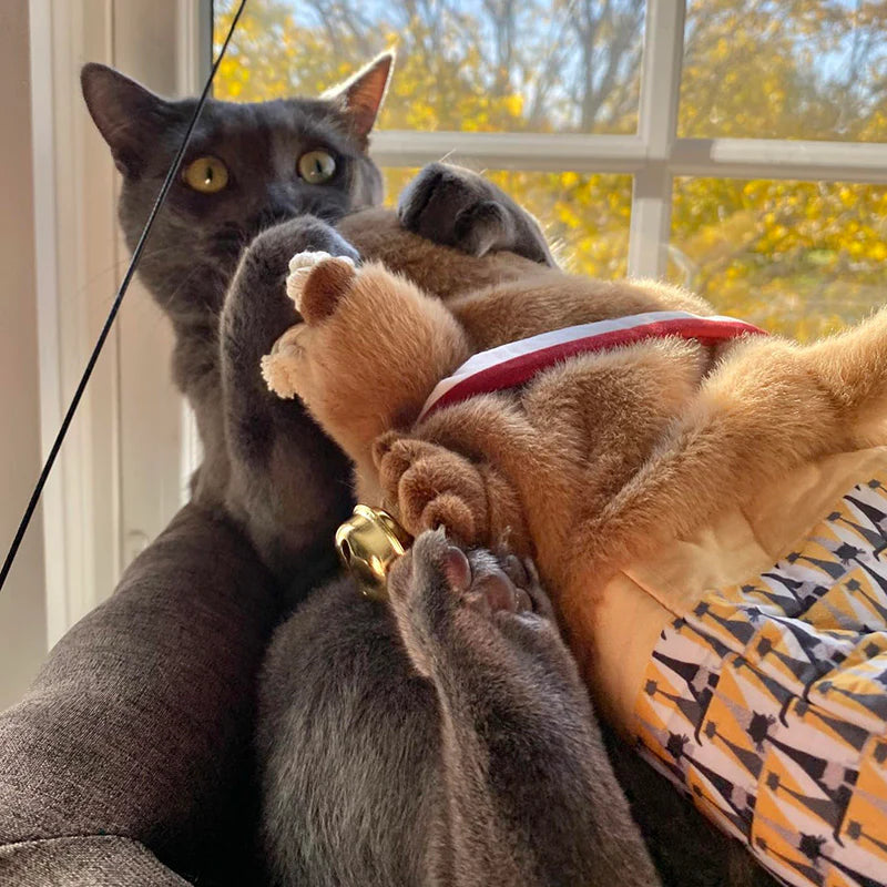 BeavBrawl™: Scratch-Proof Fight Puppet For Cats
