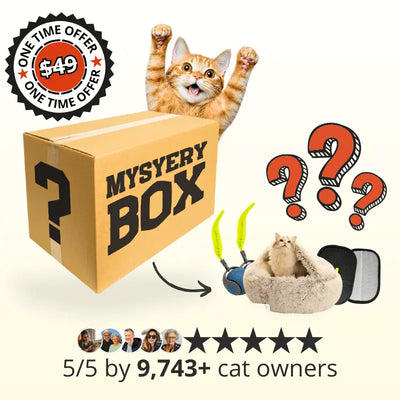 Überraschungsbox für Katzen (einmaliges Angebot)