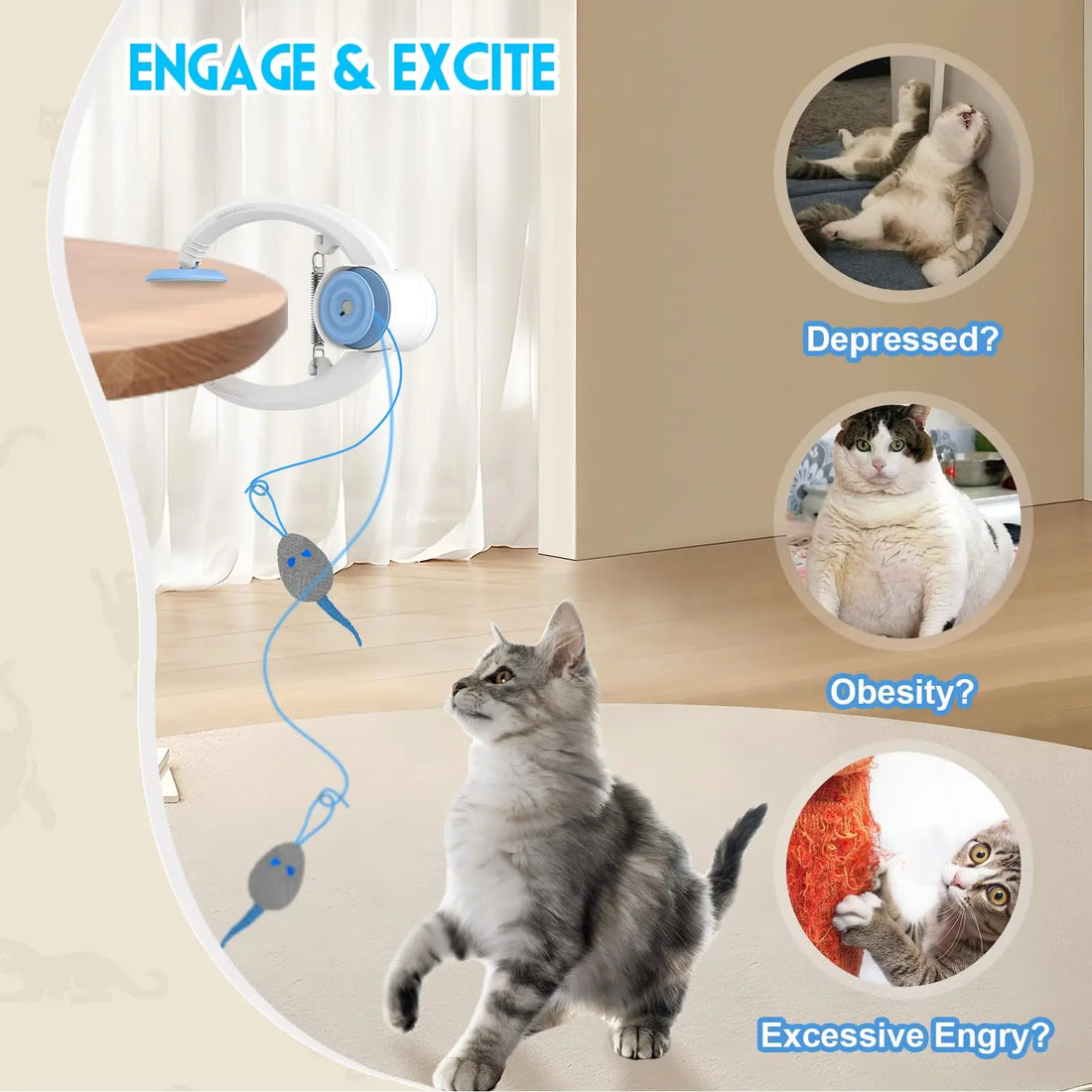 Cat jumping for the hanging toy, with icons for low mood, weight gain and excess energy