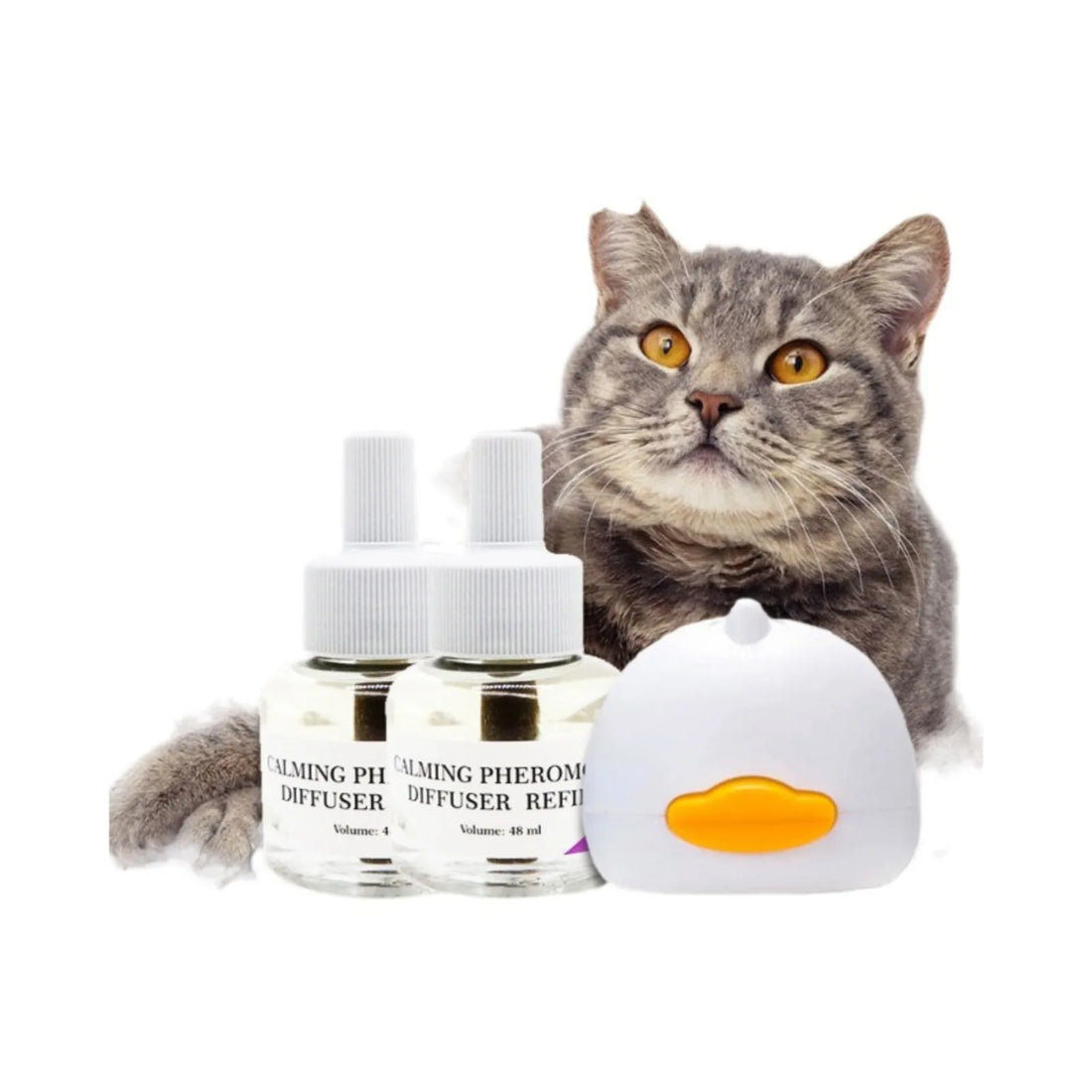 Grey cat sitting behind two pheromone refill bottles and the plug-in diffuser