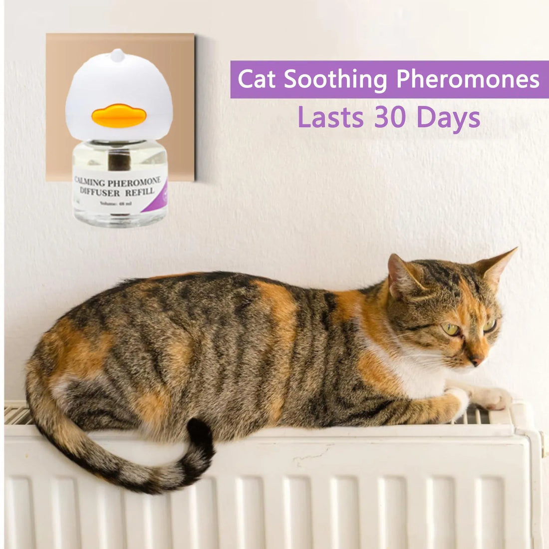 The pheromone diffuser plugged into a wall socket while a tabby cat rests on the radiator below