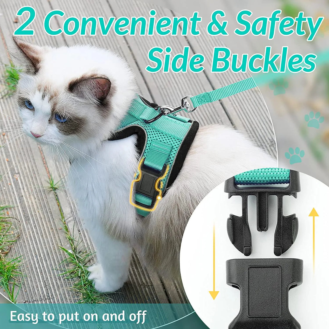 Ragdoll cat wearing the harness outdoors, with a close-up of the two side buckles