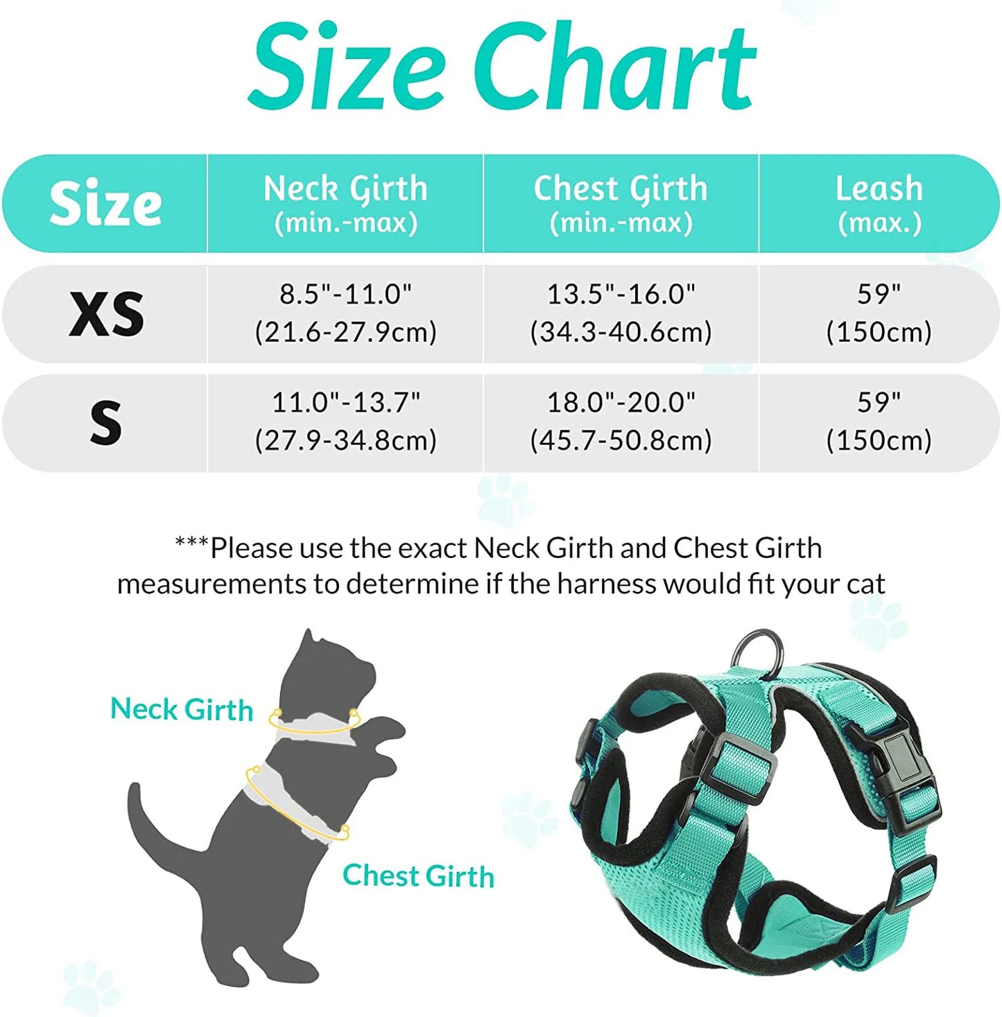 First-Time Cat Harness