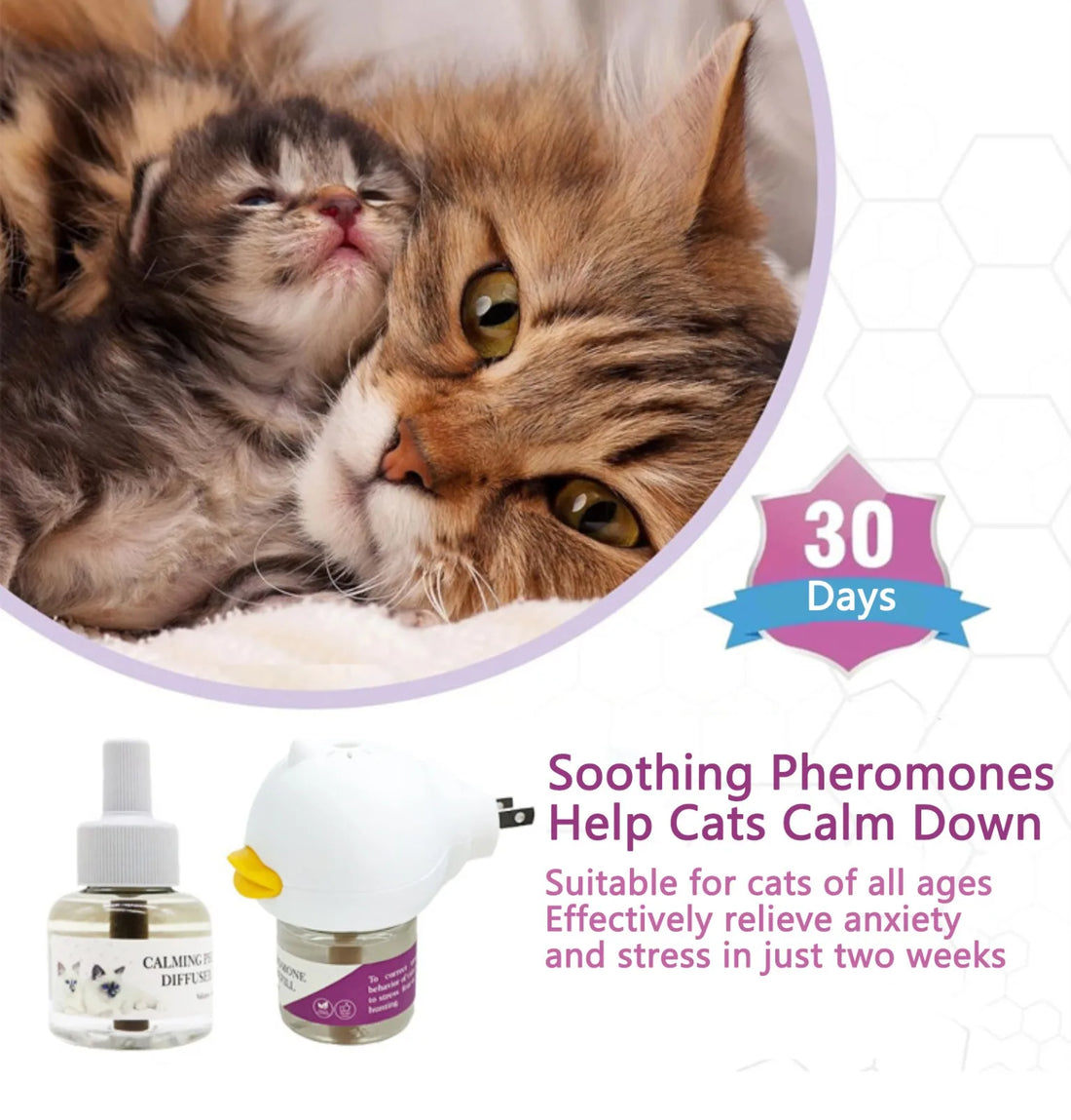 Mother cat grooming a kitten, with the plug-in diffuser and a refill bottle shown below