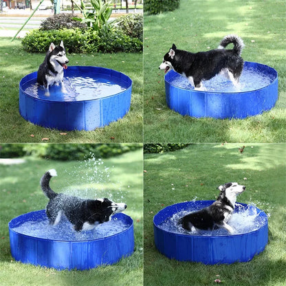 Outdoor Foldable Swimming Pool for kids and pets portable Husky Playing