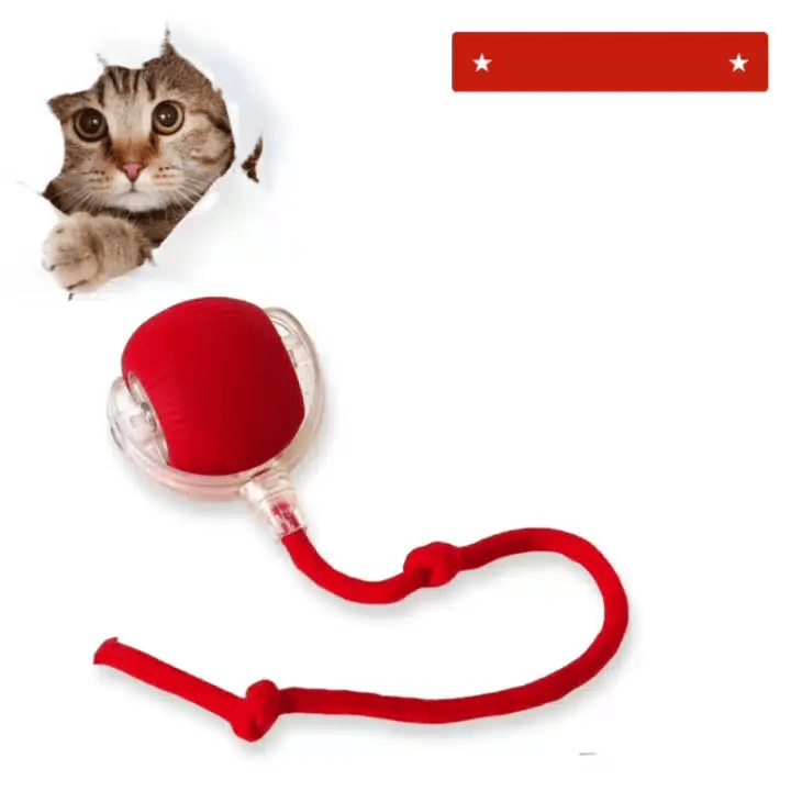 ZipBuddy™ 2.0 (Exclusive Offer)