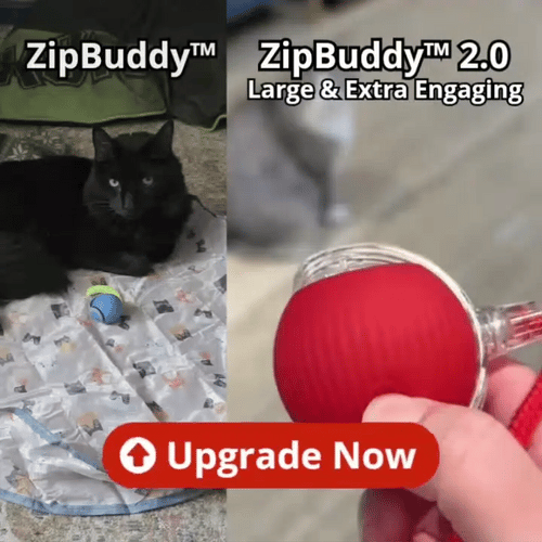 ZipBuddy 2.0 Upgrade