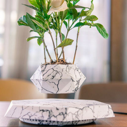 Flying Nature by Kendo (Limited Edition)