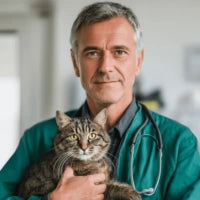 files/cat_vet.webp