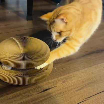 ClawLoop™ Cat Scratcher Toy With Ball