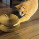 ClawLoop™ Cat Scratcher Toy With Ball