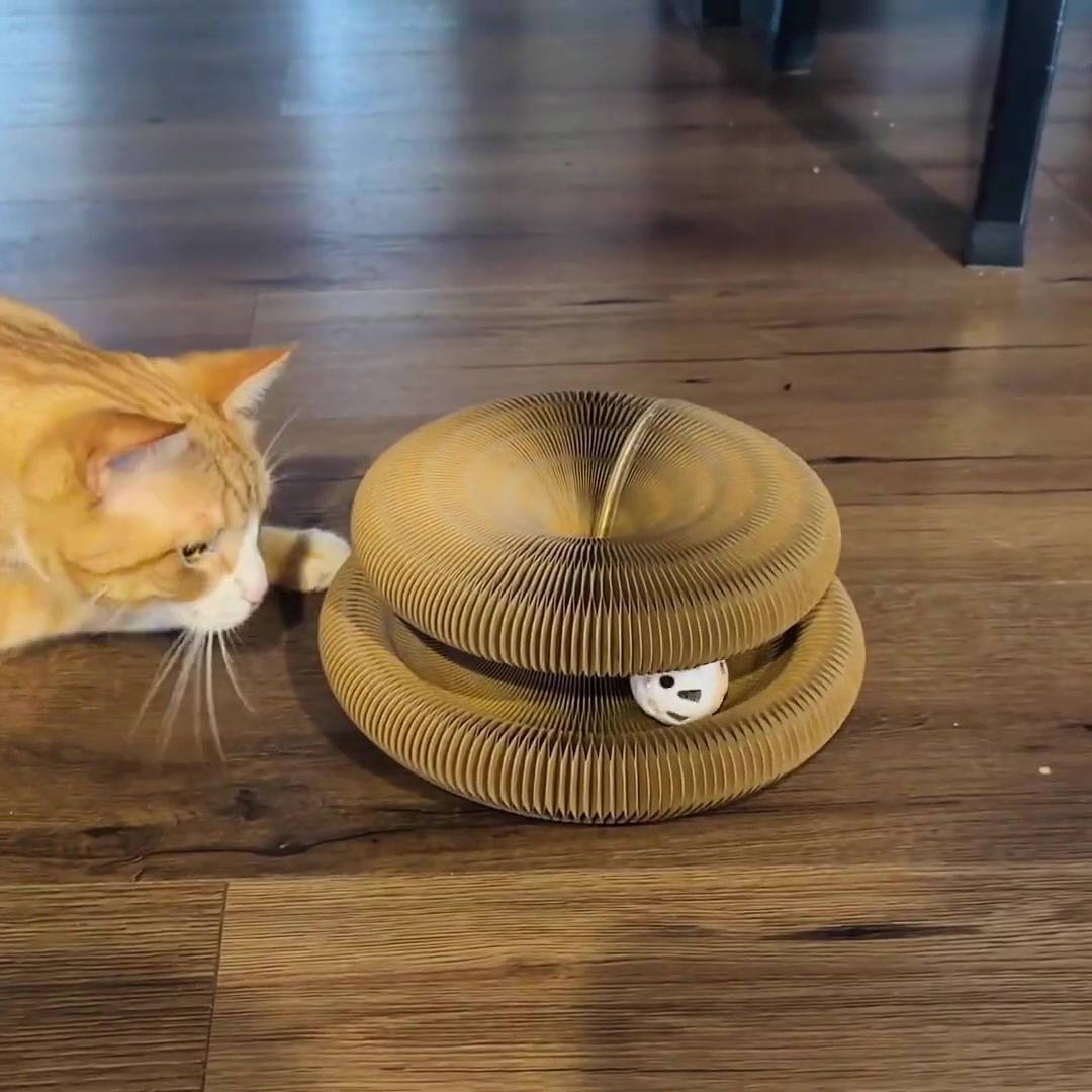 ClawLoop™ Cat Scratcher Toy With Ball
