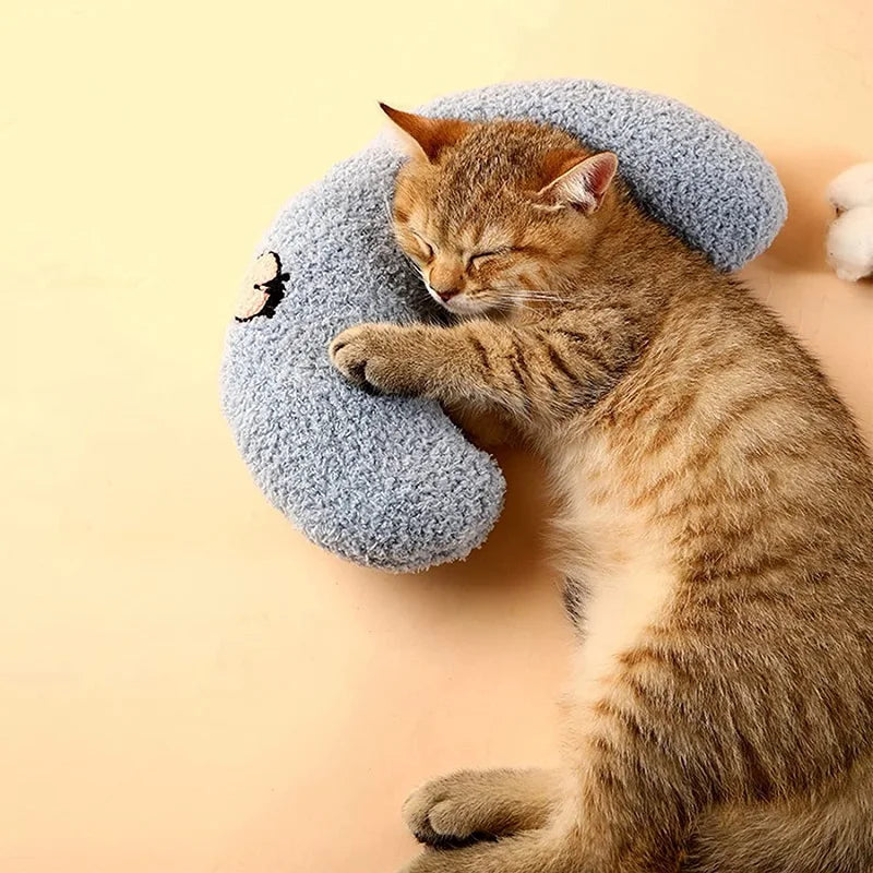 Ginger kitten asleep with its head resting on the blue half-moon cat pillow