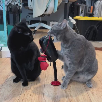 Cat grabbing and bunny-kicking the KittyKO punching bag