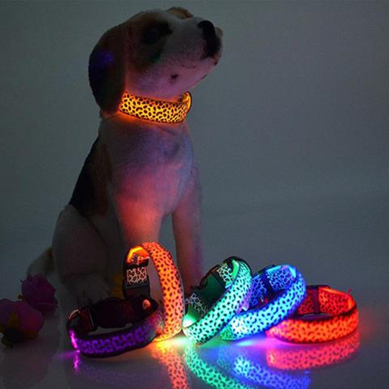 Regalo gratuito para embajadores de mascotas